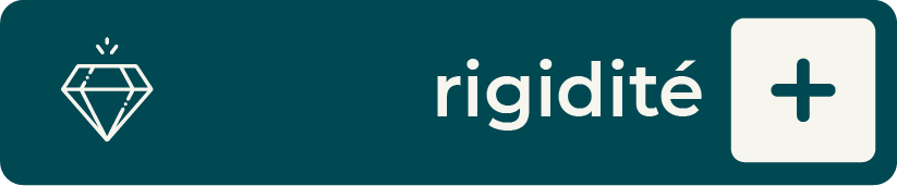 Rigidit